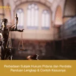 Perbedaan Subjek Hukum Pidana dan Perdiata: Panduan Lengkap & Contoh Kasusnya
